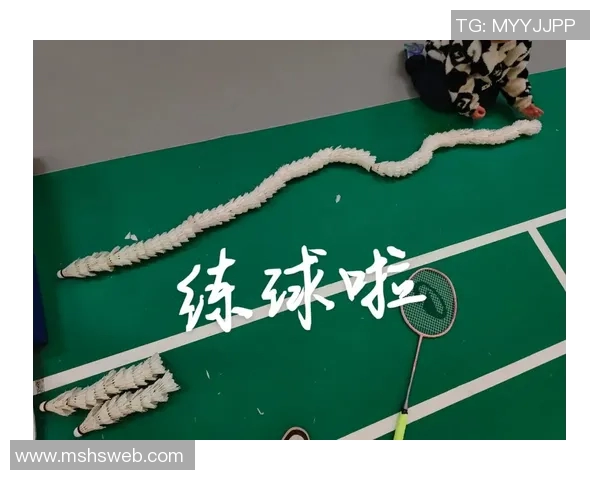 科学羽毛球训练指南：提升个人能力的有效方法与技巧分享