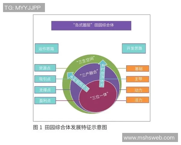 以训练为核心提升运动表现的综合方法与策略探讨